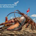 What you need to know before moving to New Brunswick 2 Cheap Flights | Airline Tickets ,Airfare Deals